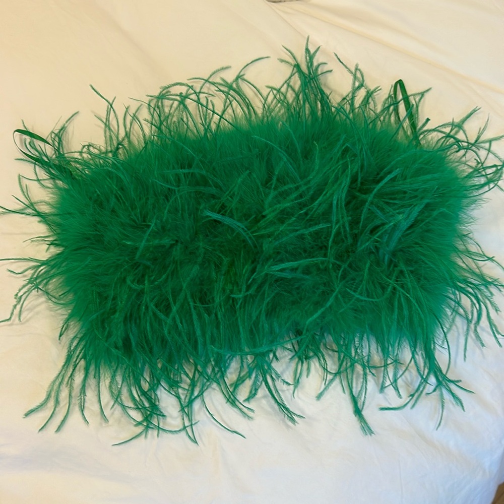 Feather Bandeau Top